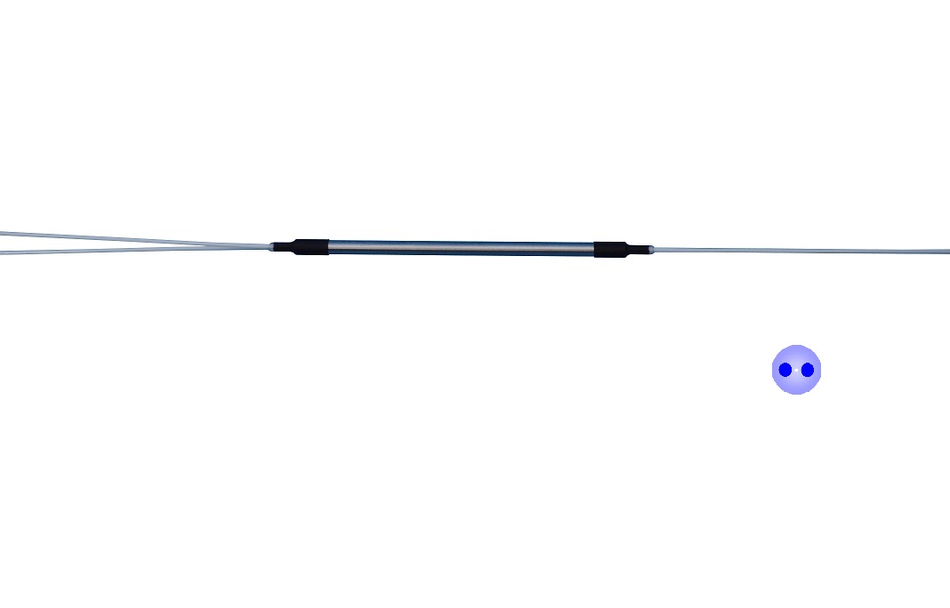 Polarization Maintaining Fused WDMs